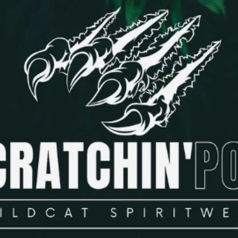 Scratchin Post Wildcat Spiritwear