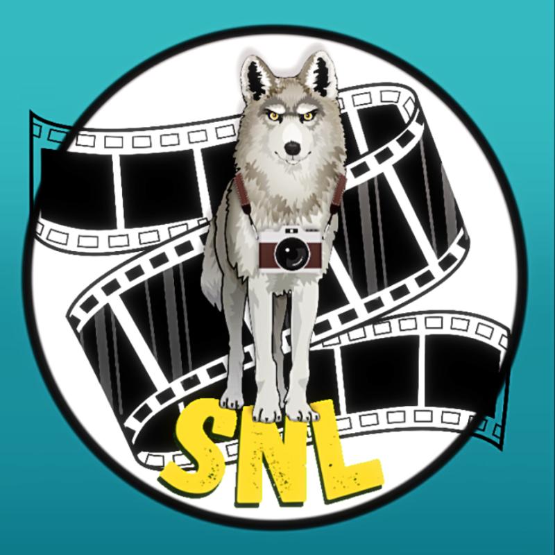 sports news lifestyle logo with wolf